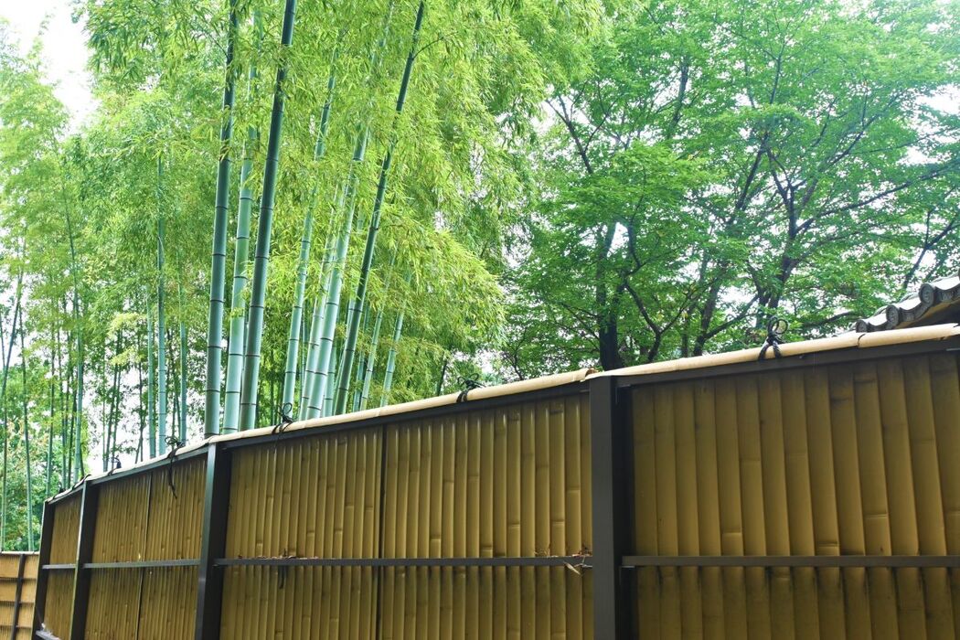 画像2054