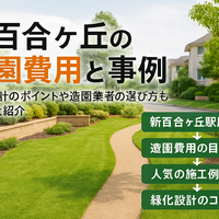 画像2253