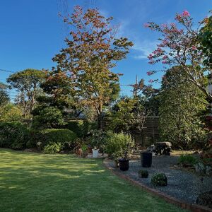 A92B3CC4-6580-4F02-9423-CD5B68E03F63