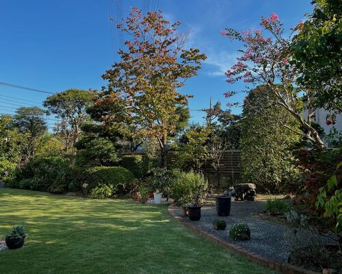 A92B3CC4-6580-4F02-9423-CD5B68E03F63