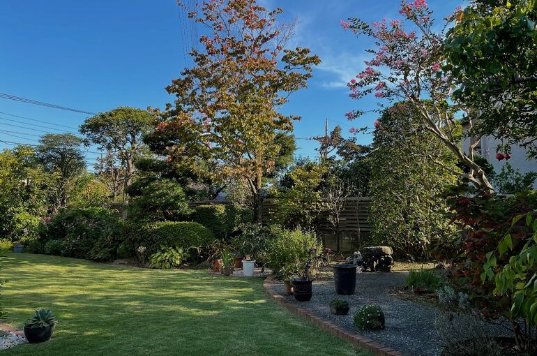 A92B3CC4-6580-4F02-9423-CD5B68E03F63