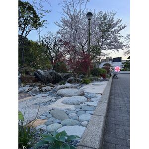 219D19F2-0F5F-4C1E-91E1-2A9F2D5C61A8