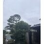 IMG_3672.jpeg