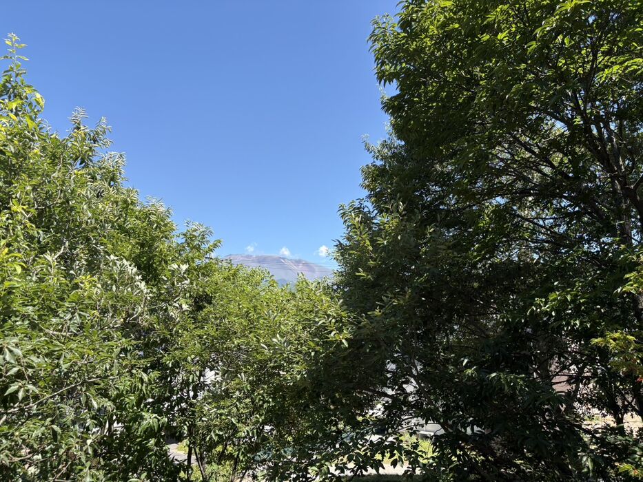 画像2391