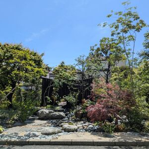 IMG_5220