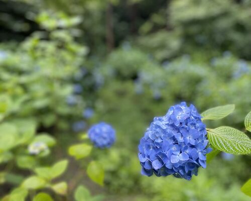 IMG_E4909