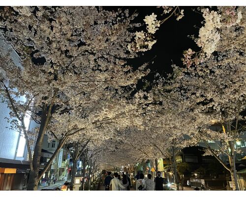 IMG_7533 - コピー